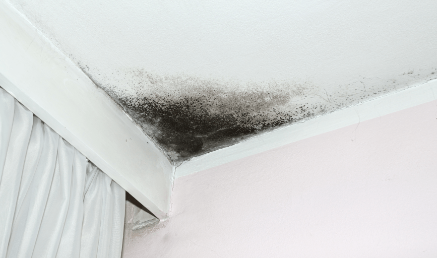 Perez and Sons Drywall